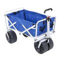 Beach Wagon Rental