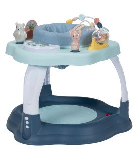 Play-in-Place Activity Center