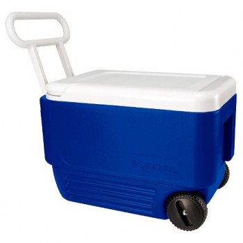 Cooler