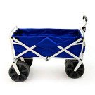 Beach Wagon Side