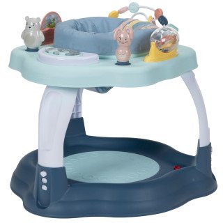 Play-in-Place Activity Center